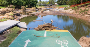 Kedron Brook Restoration Website Now Live