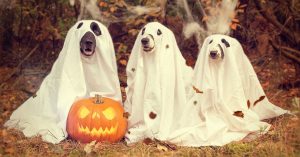 Howl-O-Ween Fundraiser