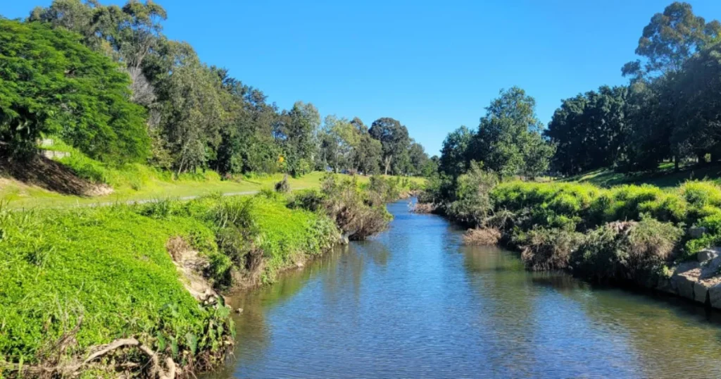 kedron brook