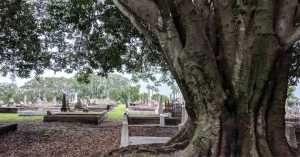 Lutwyche Cemetery