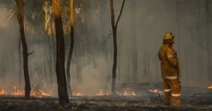 Get Ready Queensland Week
